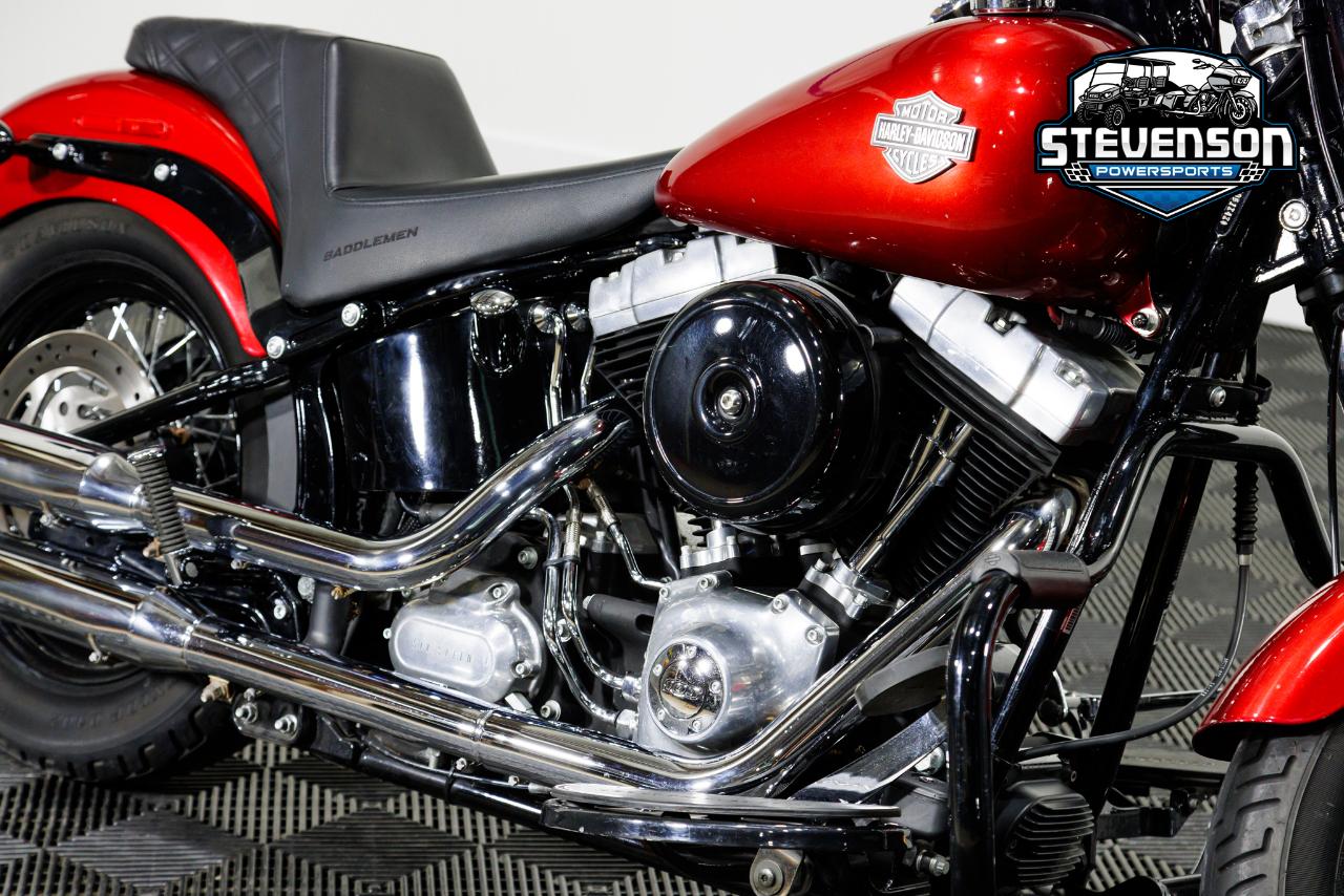 Harley-Davidson FLS103  2013