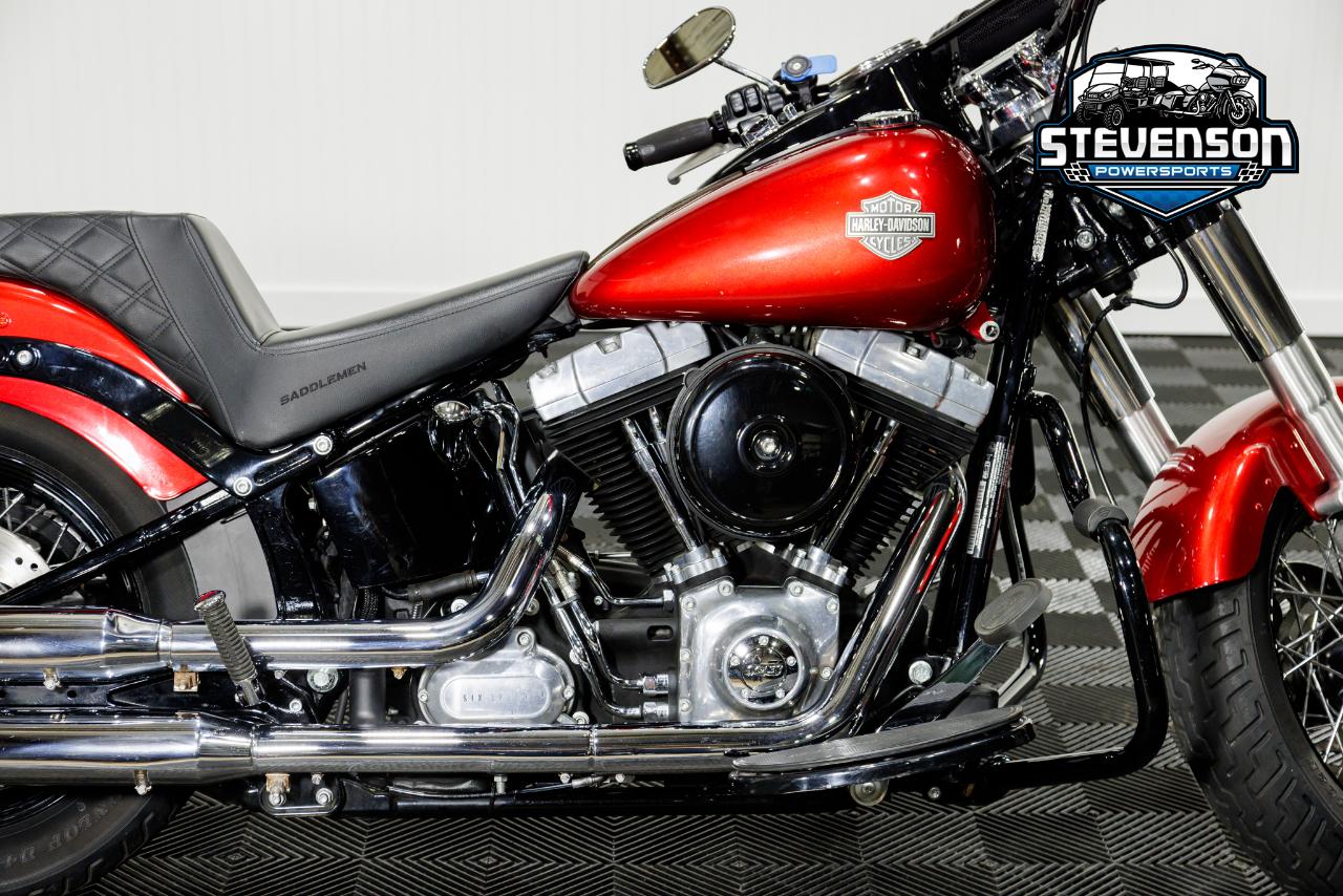 Harley-Davidson FLS103  2013