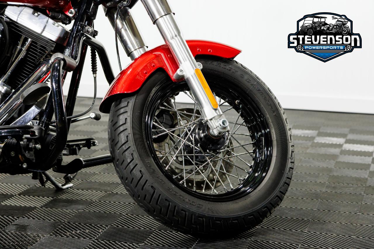 Harley-Davidson FLS103  2013