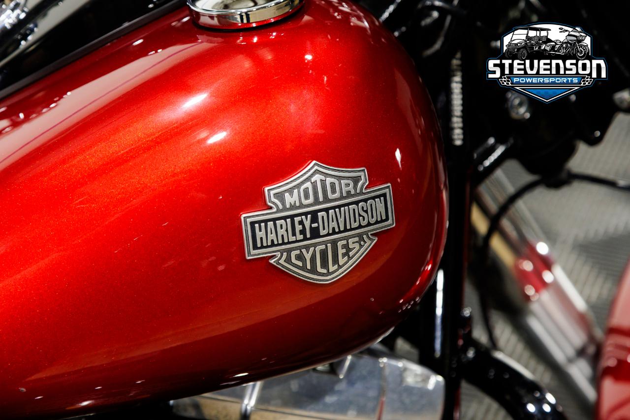 Harley-Davidson FLS103  2013