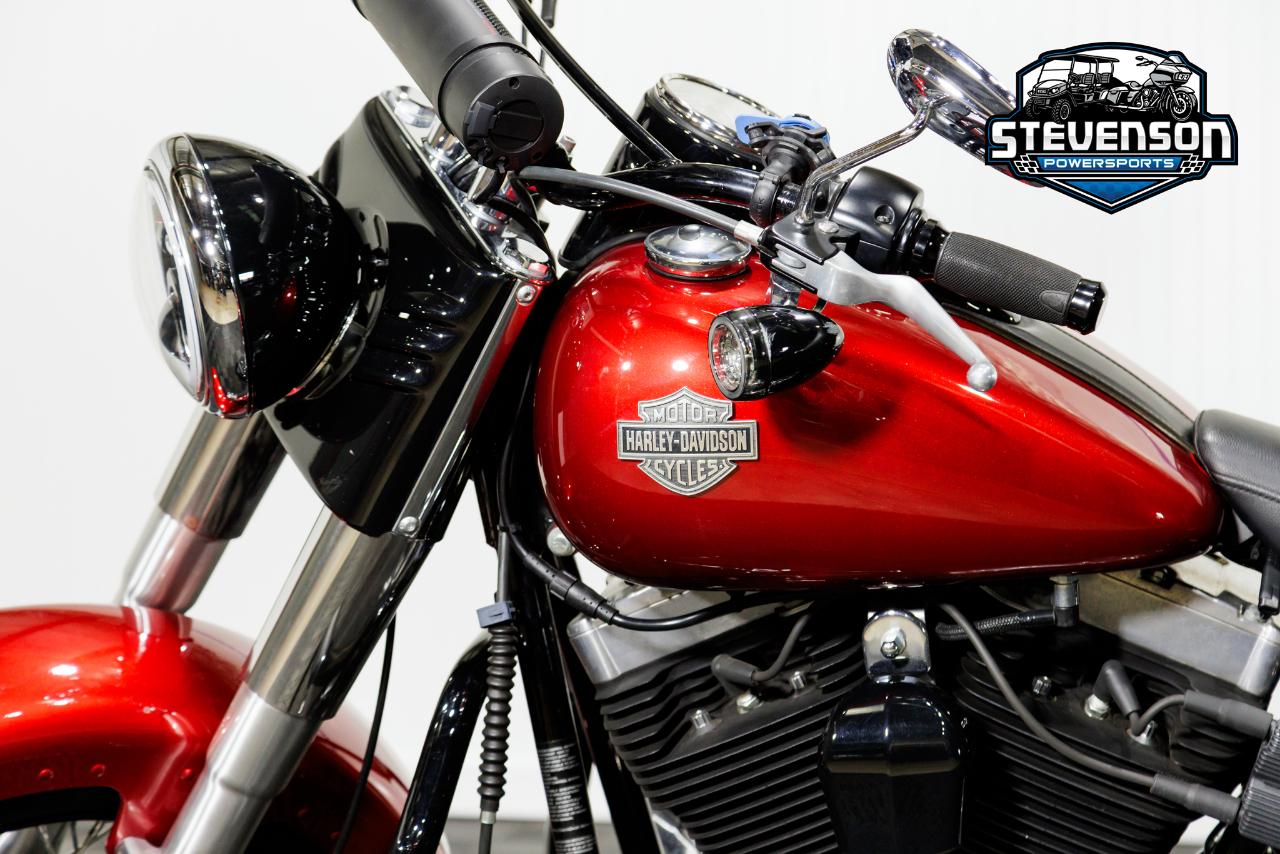 Harley-Davidson FLS103  2013