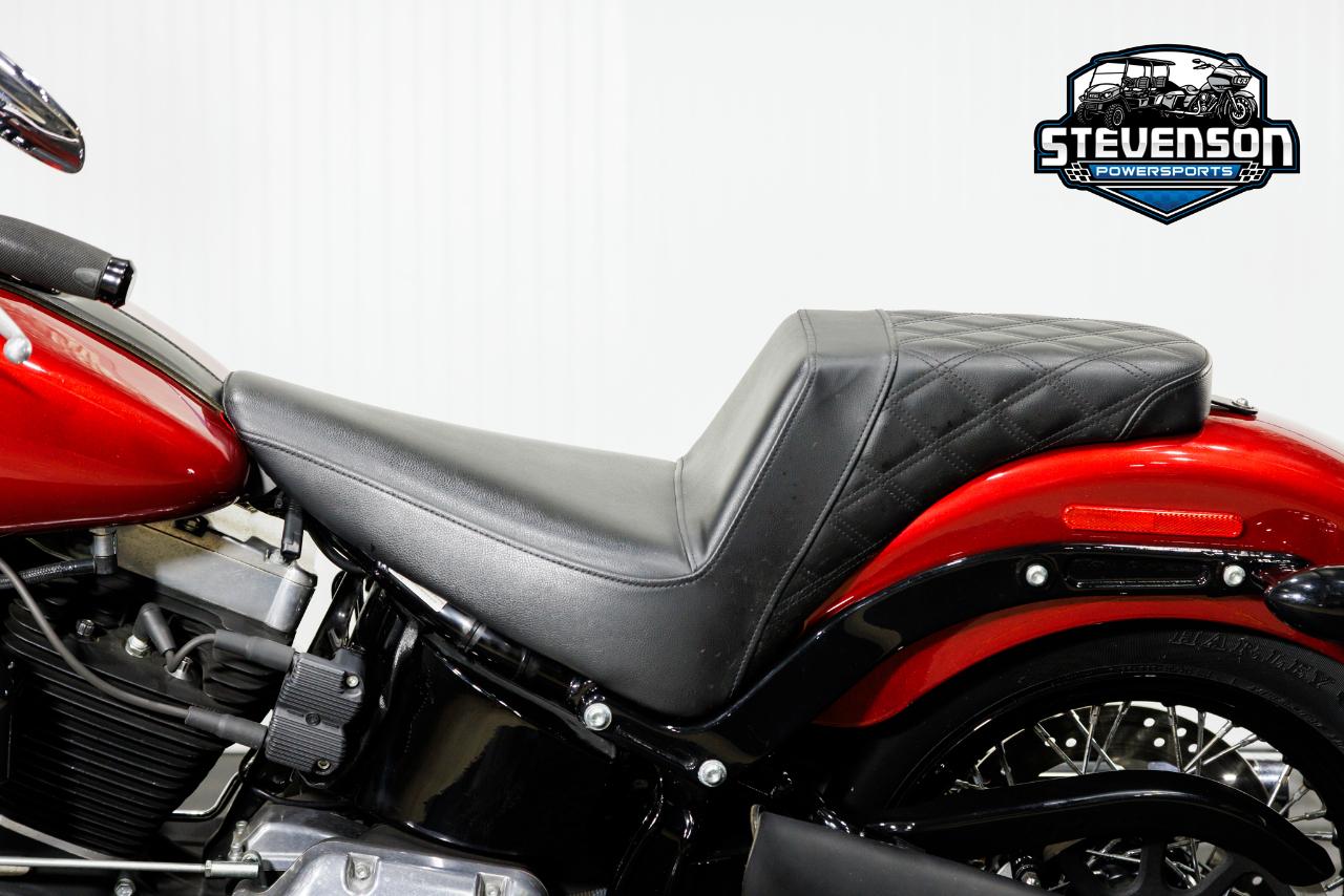 Harley-Davidson FLS103  2013