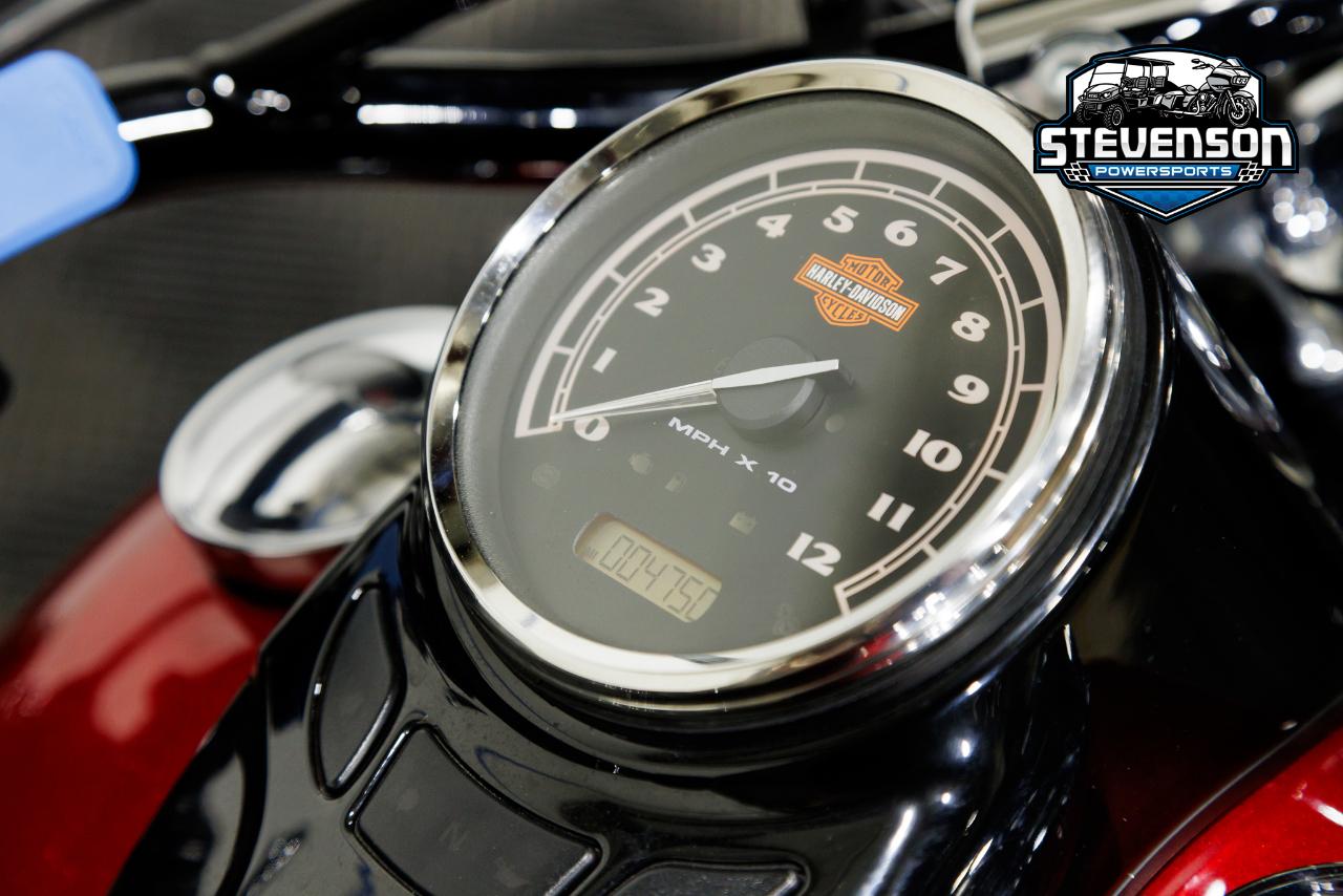 Harley-Davidson FLS103  2013