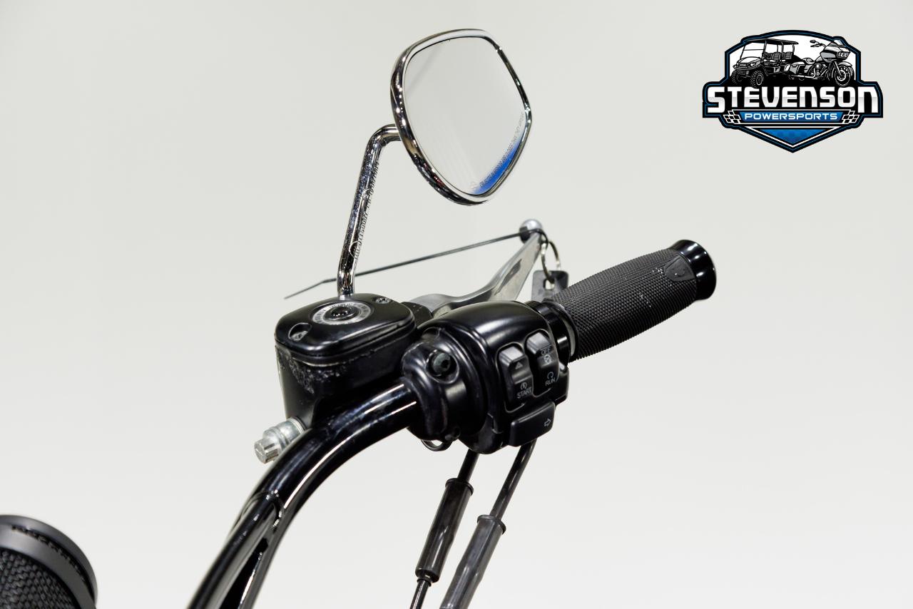 Harley-Davidson FLS103  2013