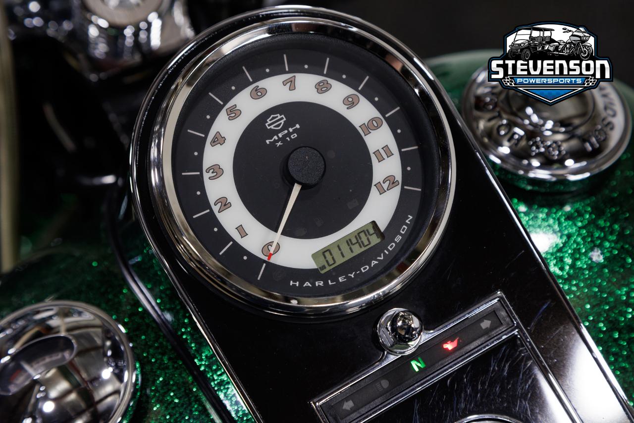 Harley-Davidson FLSTN103  2013