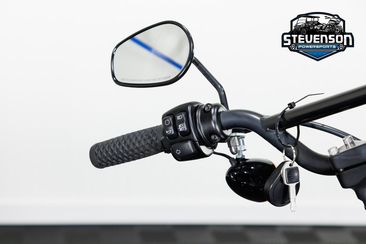 Harley-Davidson FXBBS  2022