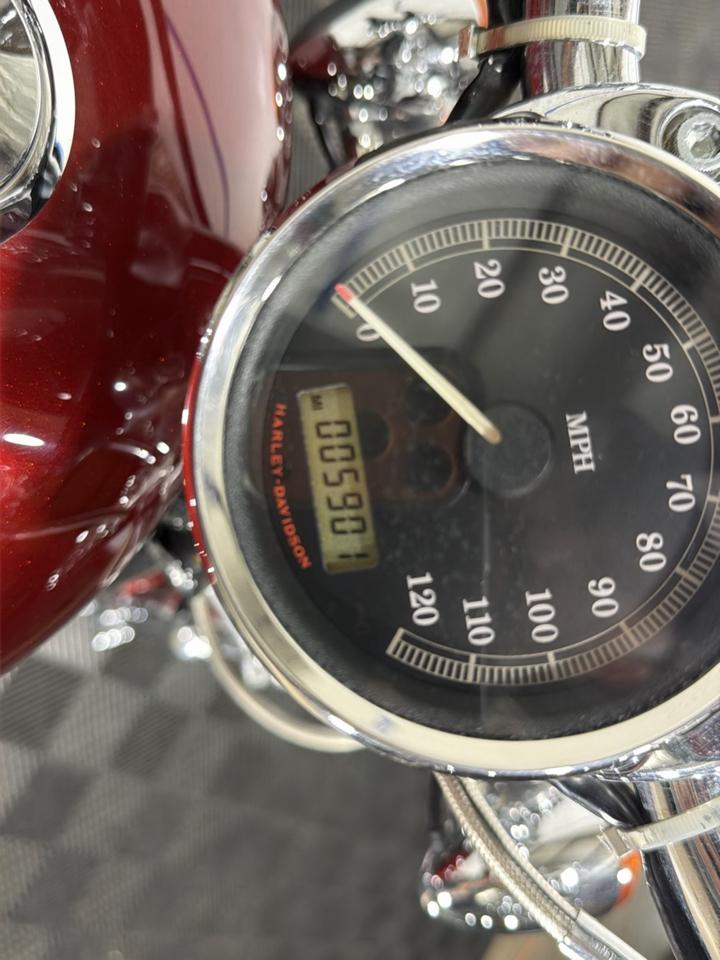Harley-Davidson XL 1200C  2009
