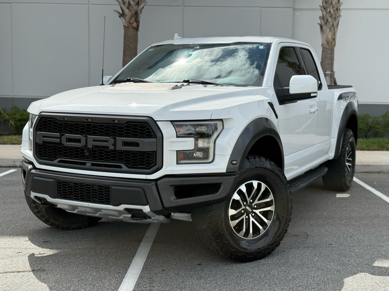 2019 Ford F-150 Raptor photo 2