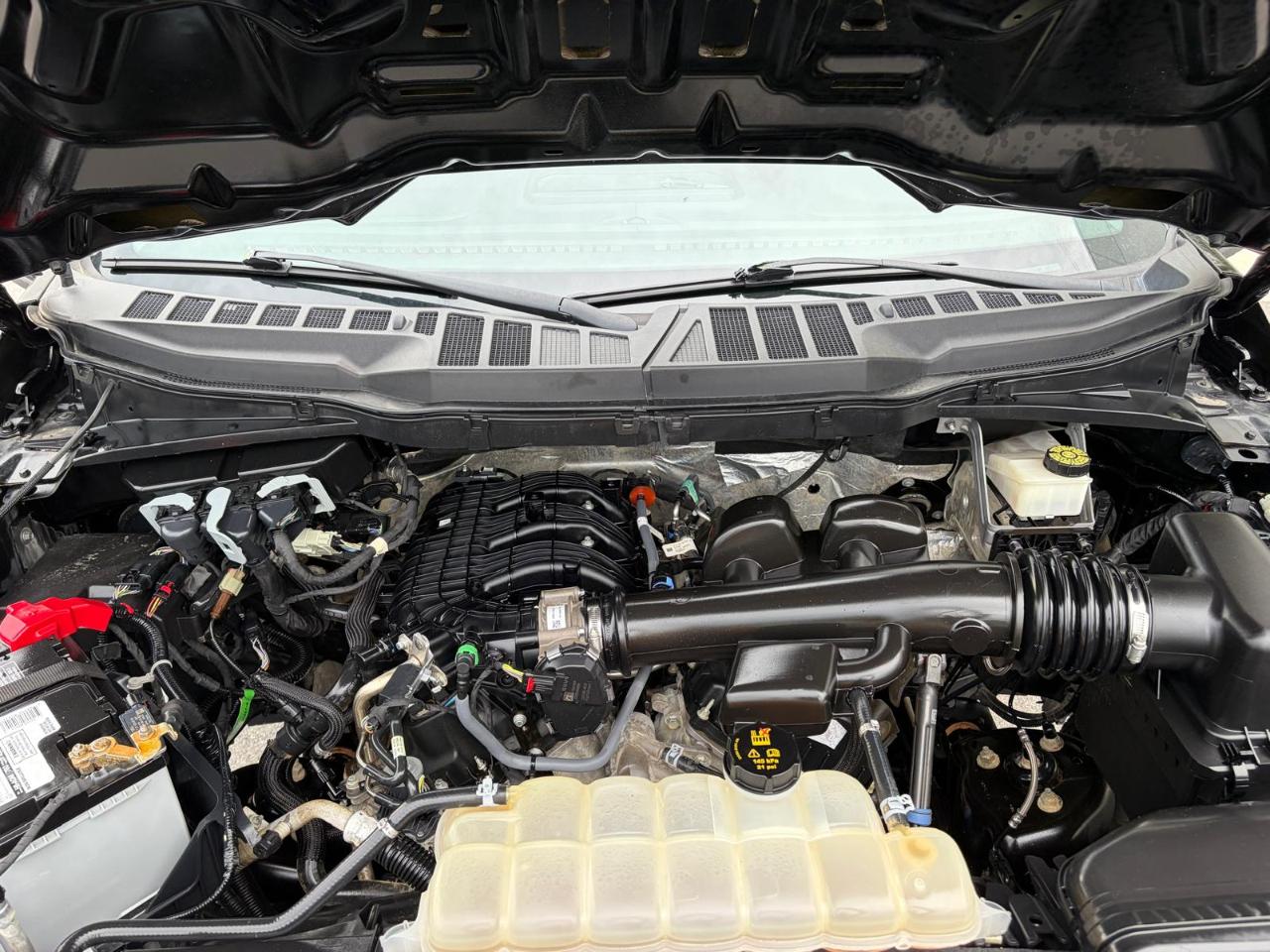 Ford F-150 XLT 4WD SuperCab 6.5' Box 2023