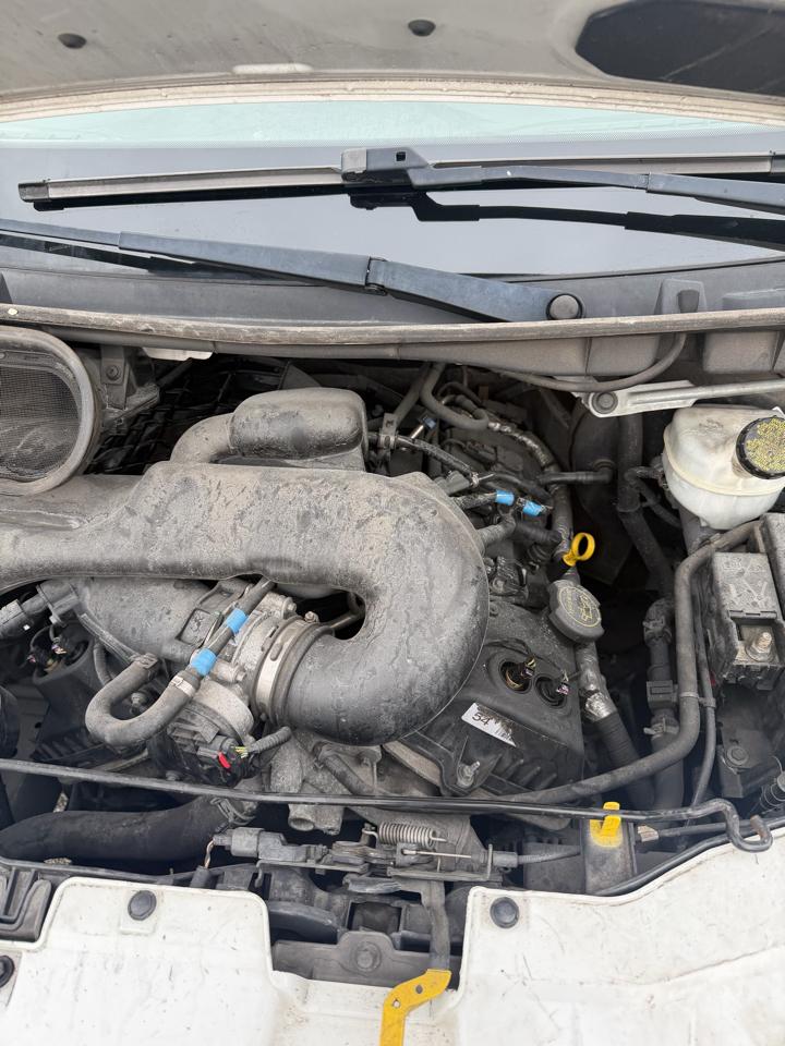 Ford Transit 250 Van Low Roof 60/40 Pass.130-in. WB 2016