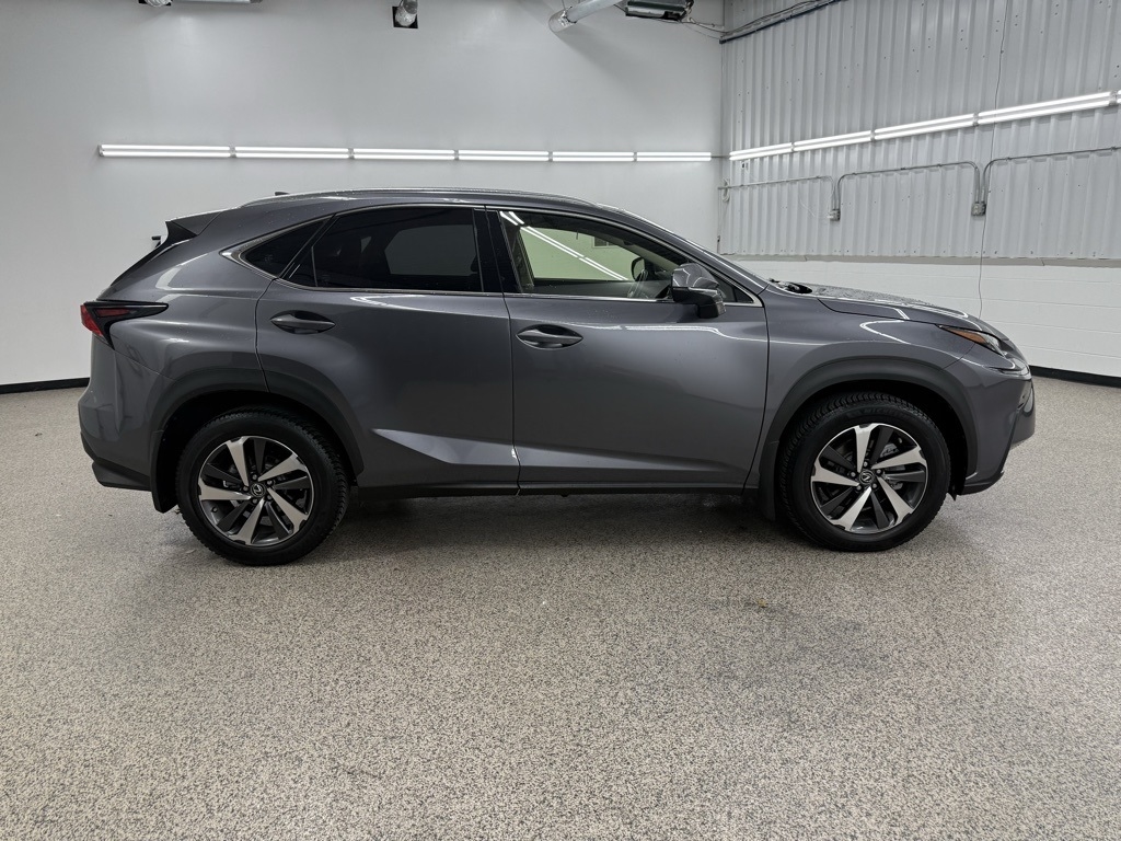2019 Lexus NX 300's photo