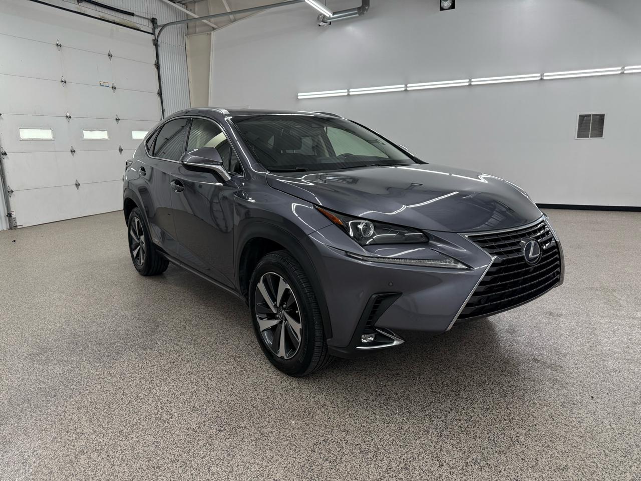 2019 Lexus NX 300h AWD