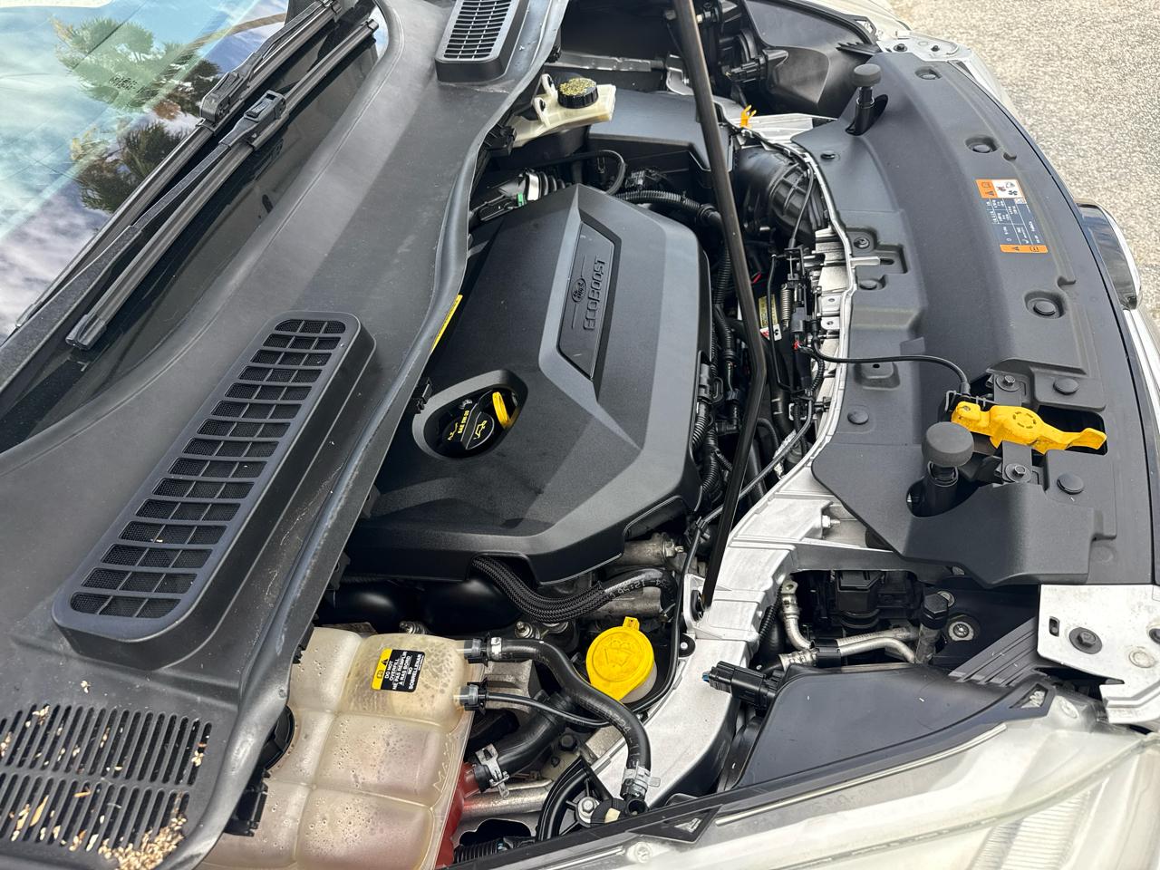 Ford Escape FWD 4dr SEL 2013