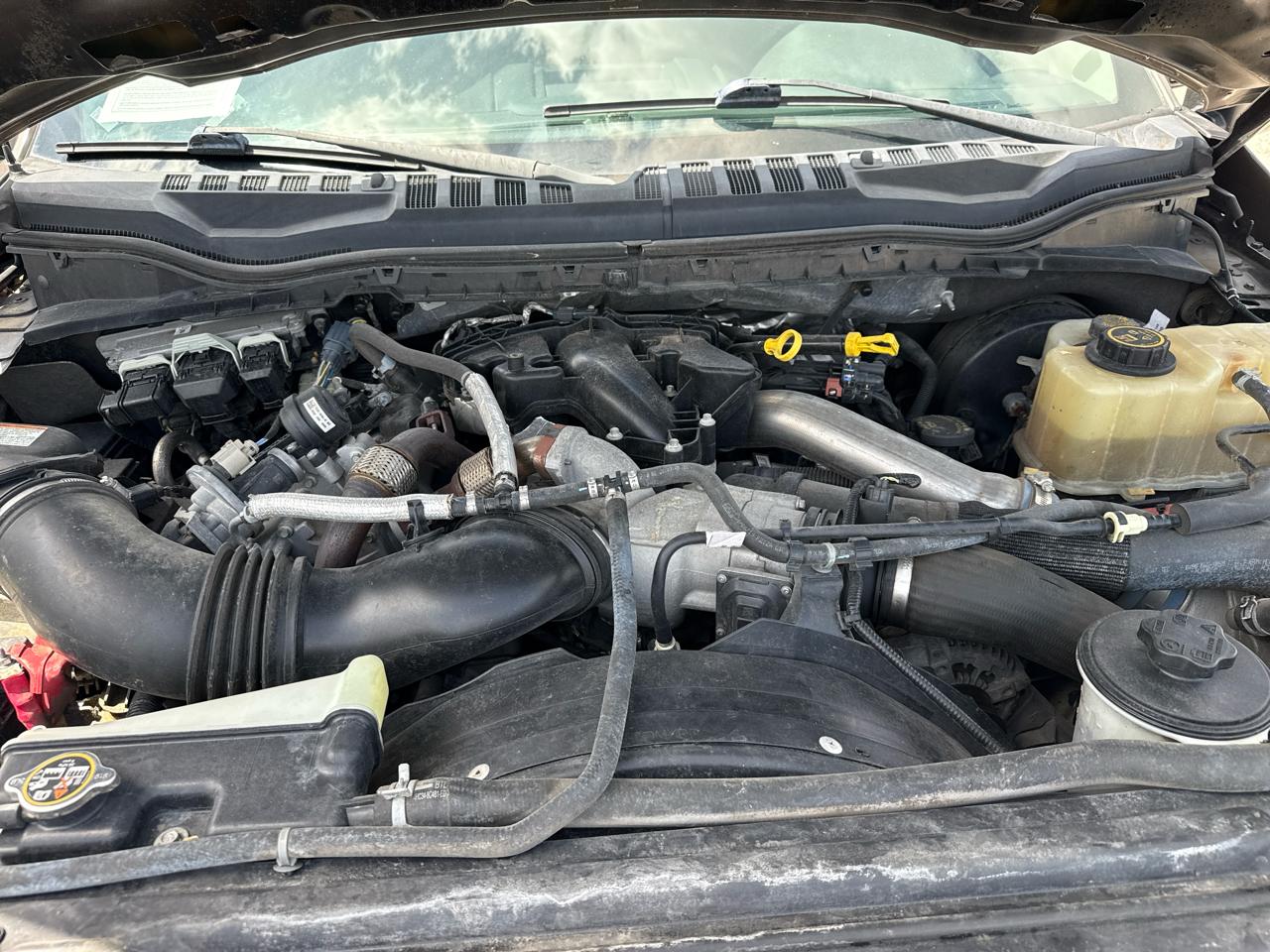 Ford Super Duty F-250 SRW XLT 4WD Crew Cab 6.75' Box 2019