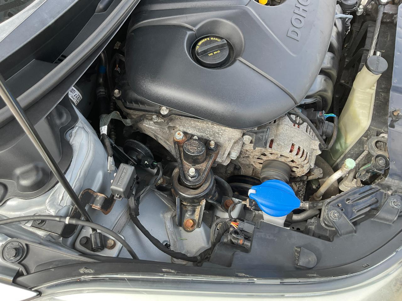 Hyundai Elantra 5dr Sdn GLS Auto 2016