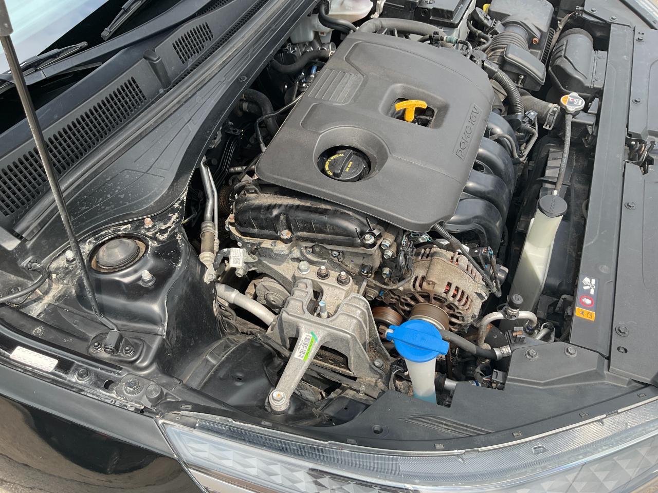 Kia Forte FE 2022