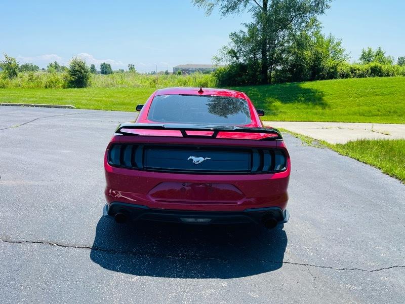 Ford Mustang EcoBoost Coupe 2023