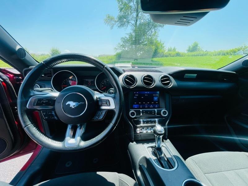 Ford Mustang EcoBoost Coupe 2023