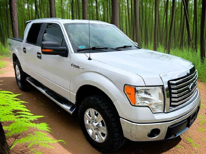2012 Ford F-150 XLT 4WD SuperCrew 5.5' Box