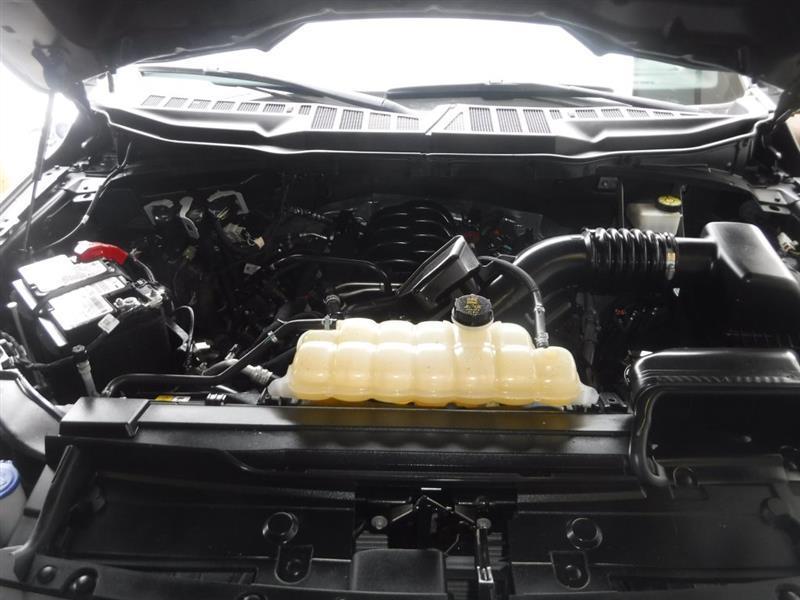 Ford F-150 XL SuperCrew 5.5-ft. Bed 2WD 2023