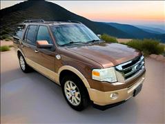 2011 Ford Expedition 
