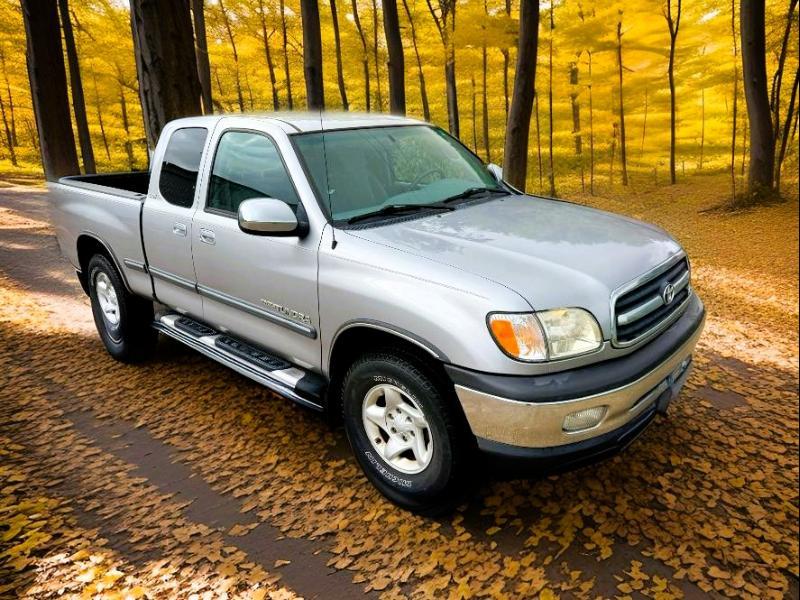 Toyota Tundra SR5 Access Cab 2WD 2002