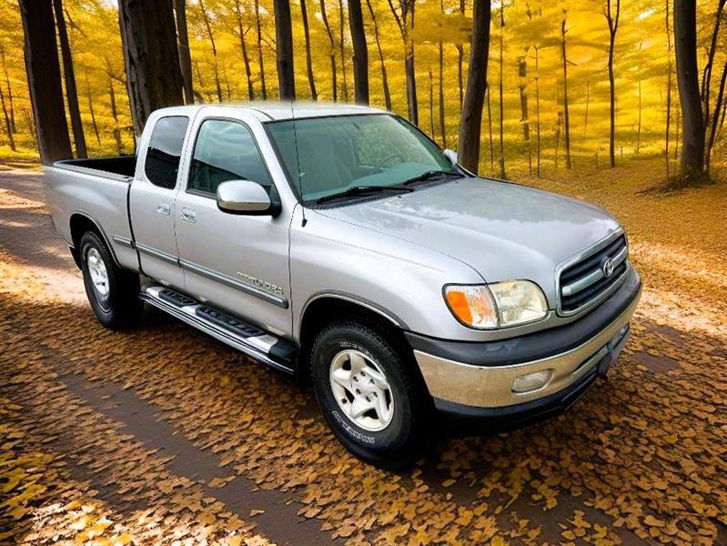 2002 Toyota Tundra SR5 Access Cab 2WD