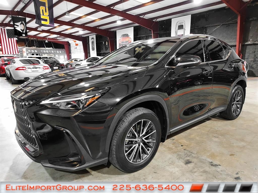 2025 Lexus NX 250's photo