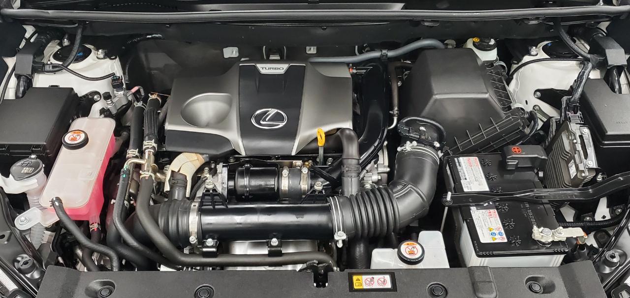 Lexus NX 300 Luxury AWD 2021