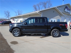 2015 Ford F-150  2015 Ford F-150