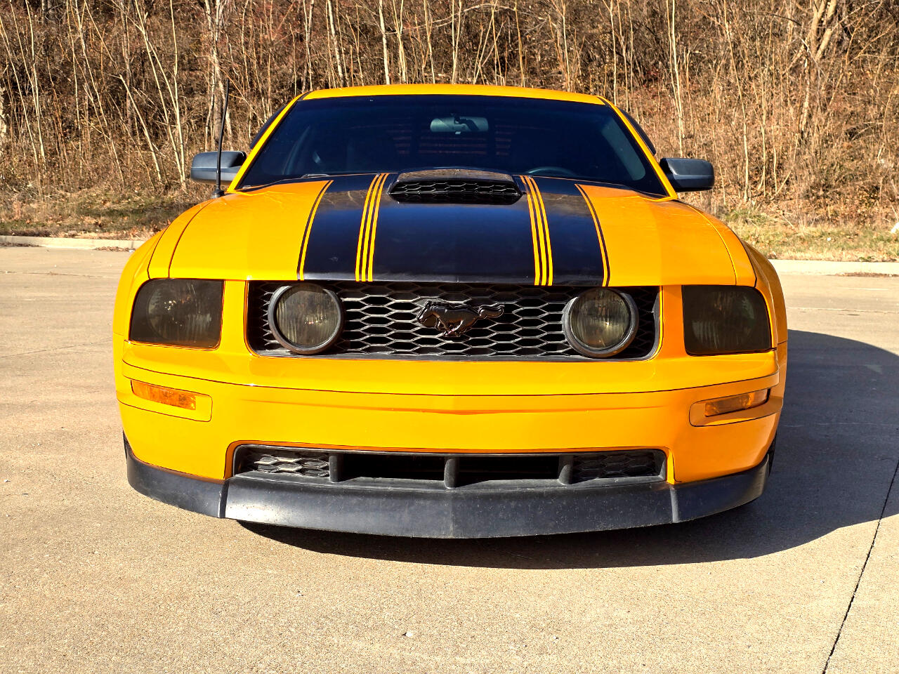 Ford Mustang GT Premium Coupe 2008