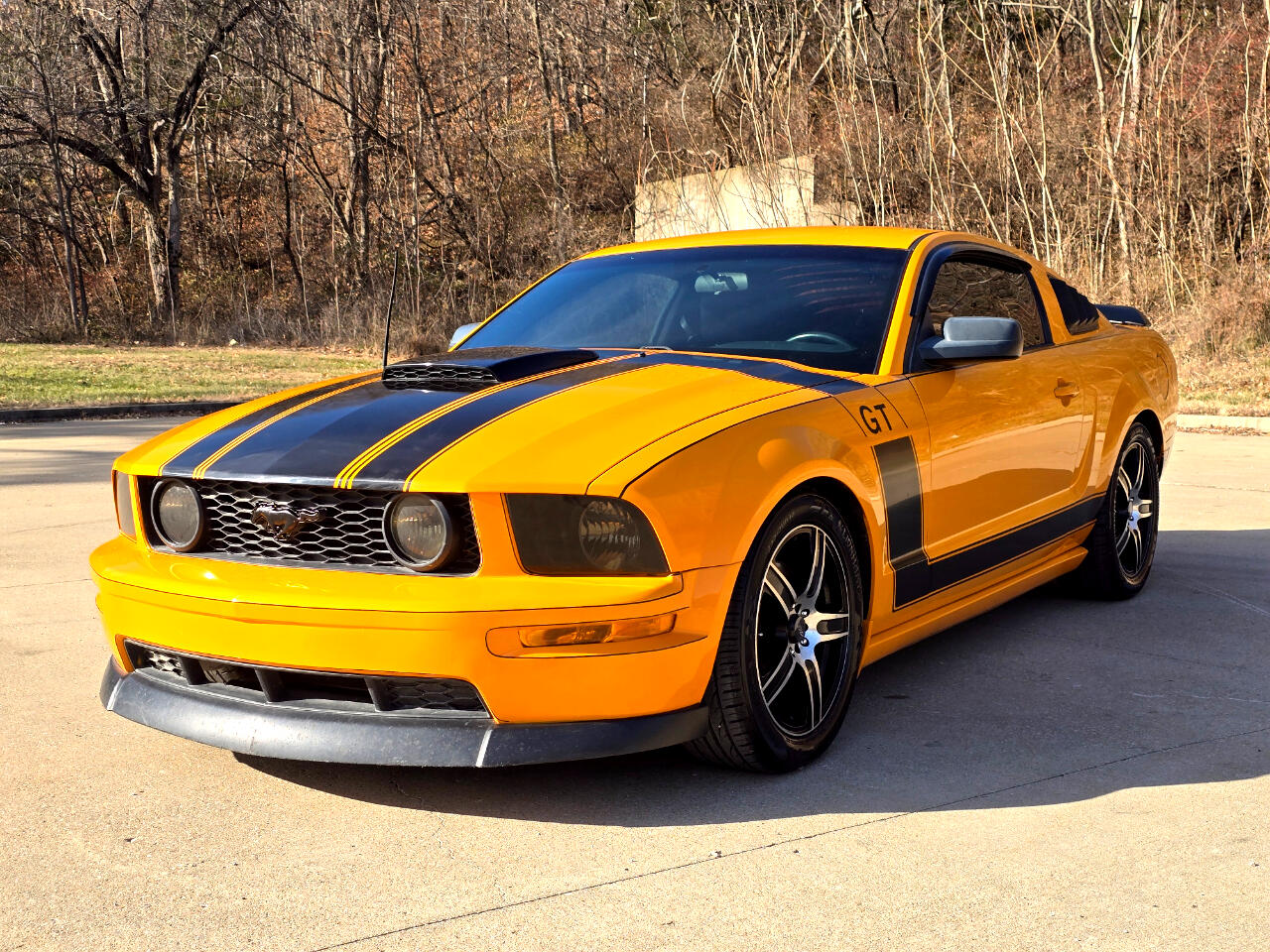 Ford Mustang GT Premium Coupe 2008
