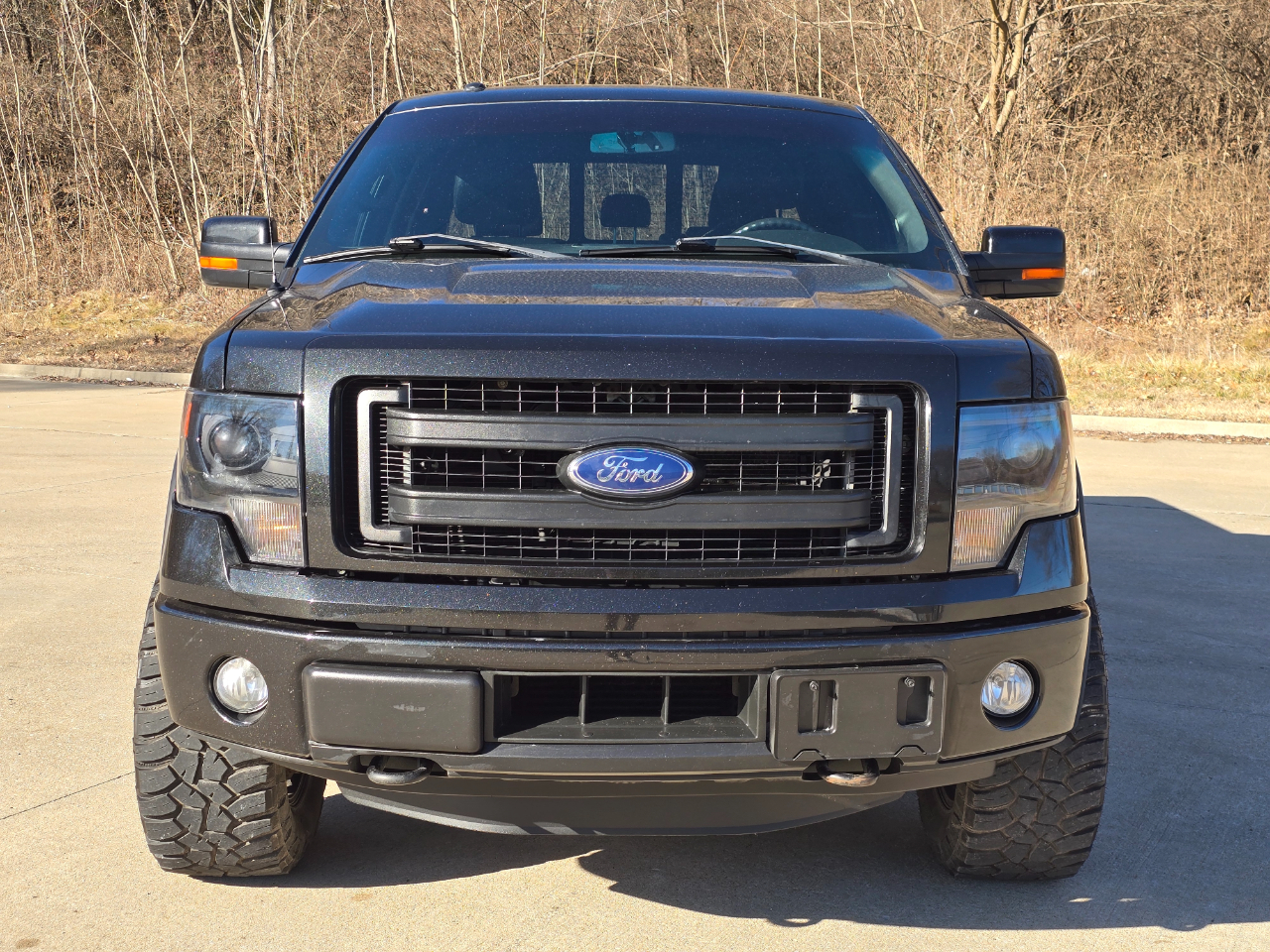 Ford F-150 Platinum SuperCrew 5.5-ft. Bed 4WD 2014