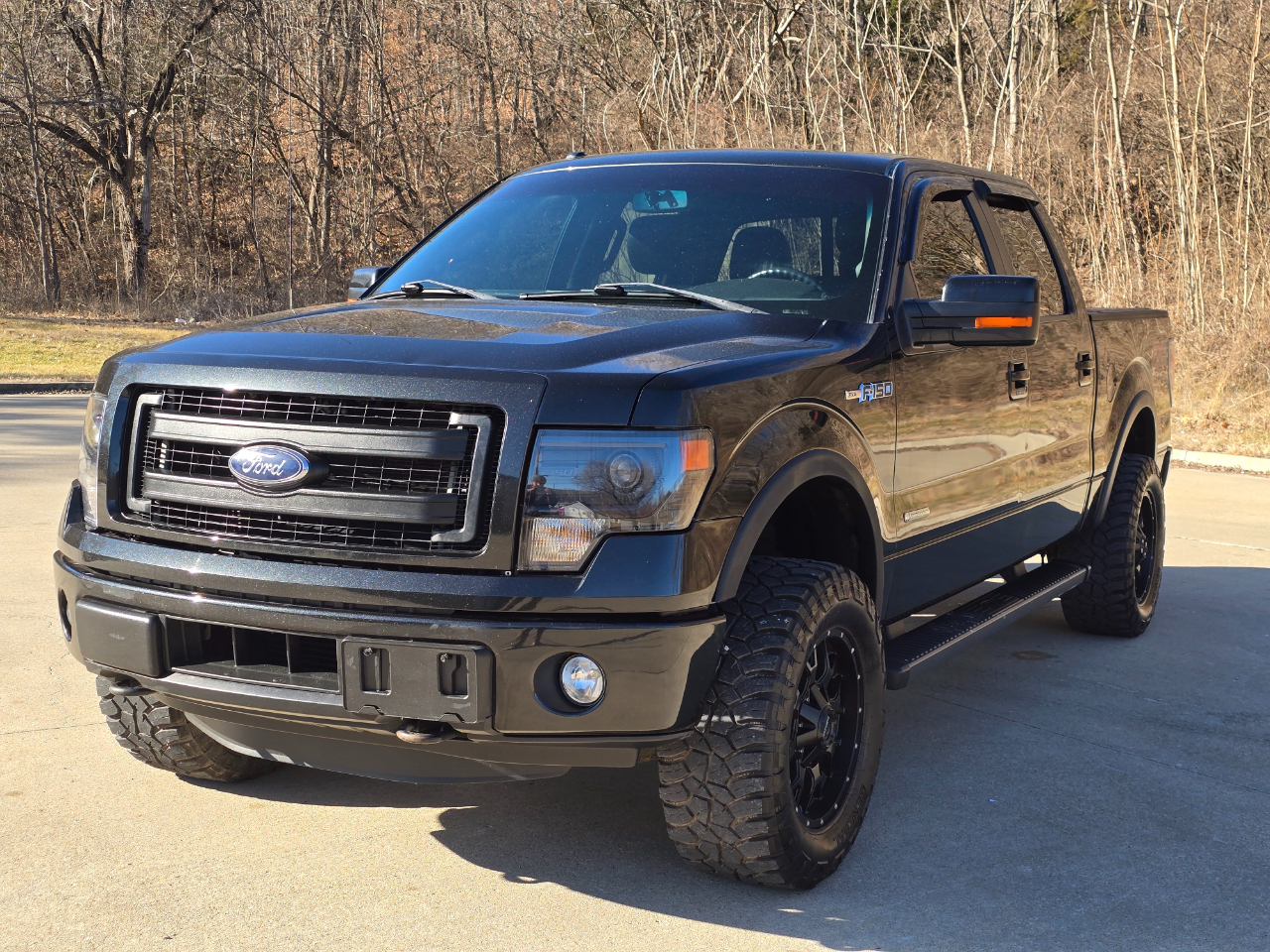 Ford F-150 Platinum SuperCrew 5.5-ft. Bed 4WD 2014