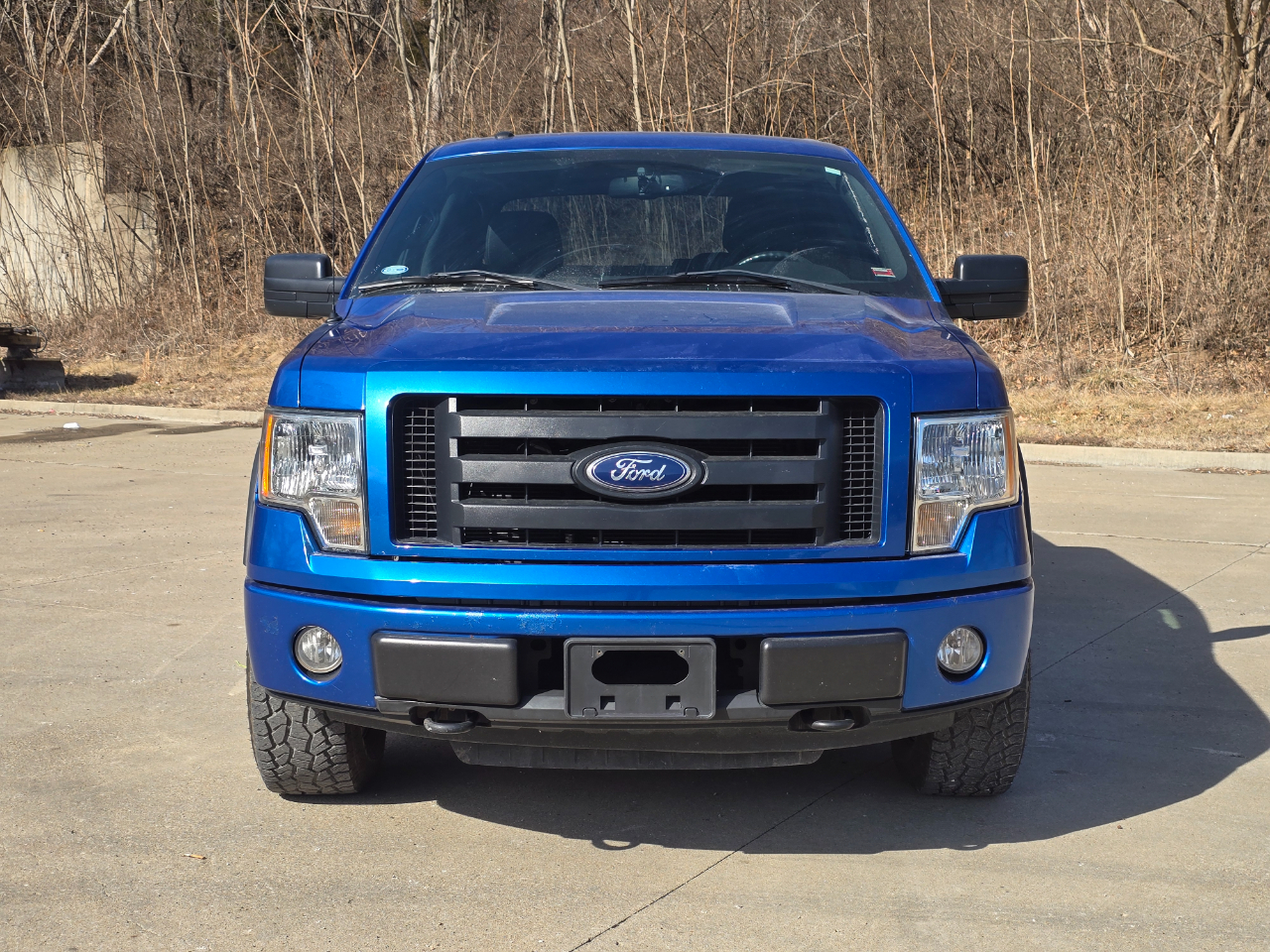 Ford F-150 FX4 SuperCrew 4x4 2010