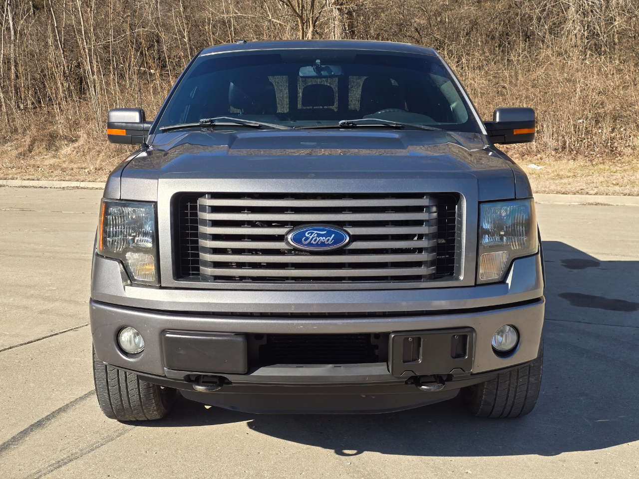 Ford F-150 XLT SuperCrew 5.5-ft. Bed 4WD 2011