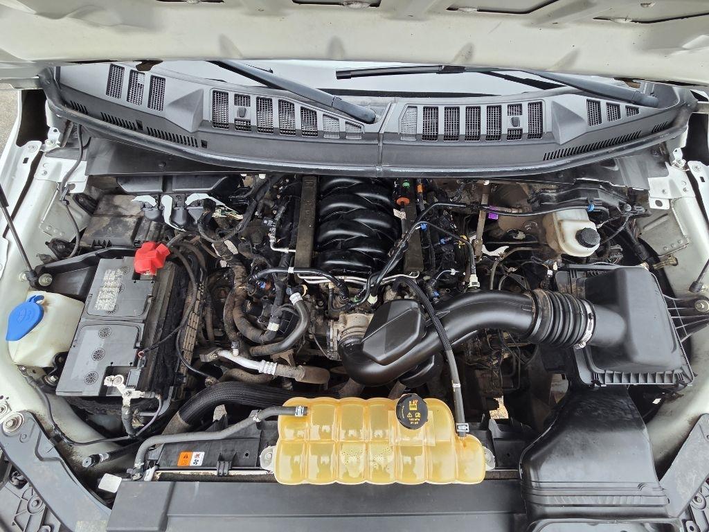 Ford F-150 XL 8 ft. 4WD 2020