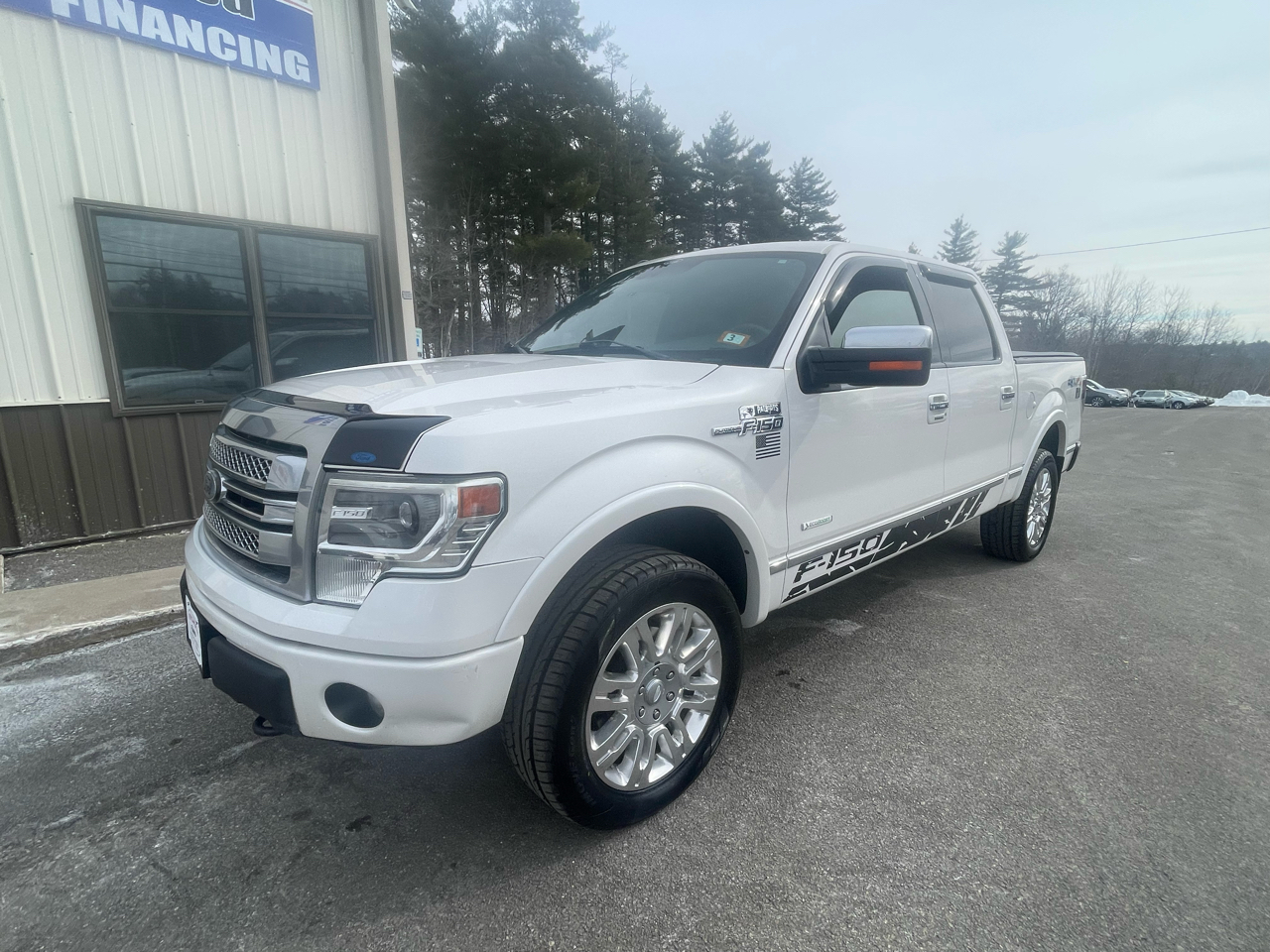 2013 Ford F-150 Platinum SuperCrew 5.5-ft. Bed 4WD