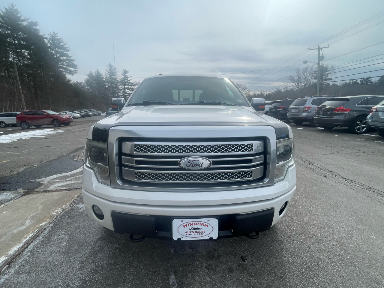 Ford F-150 Platinum SuperCrew 5.5-ft. Bed 4WD 2013