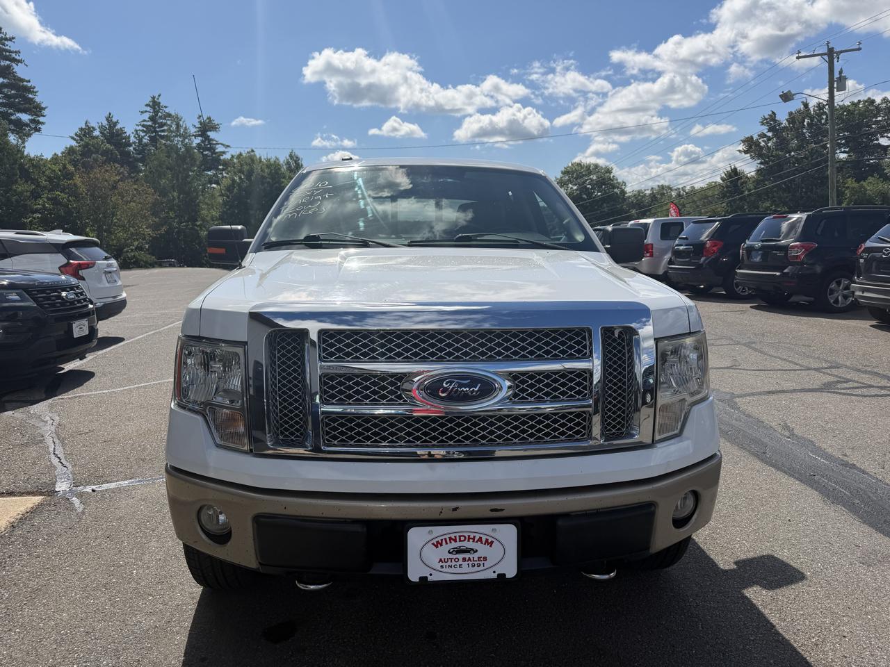 Ford F-150 AWD SuperCrew 139" Harley-Davidson 2010