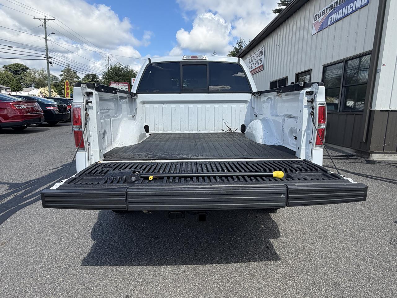 Ford F-150 AWD SuperCrew 139" Harley-Davidson 2010