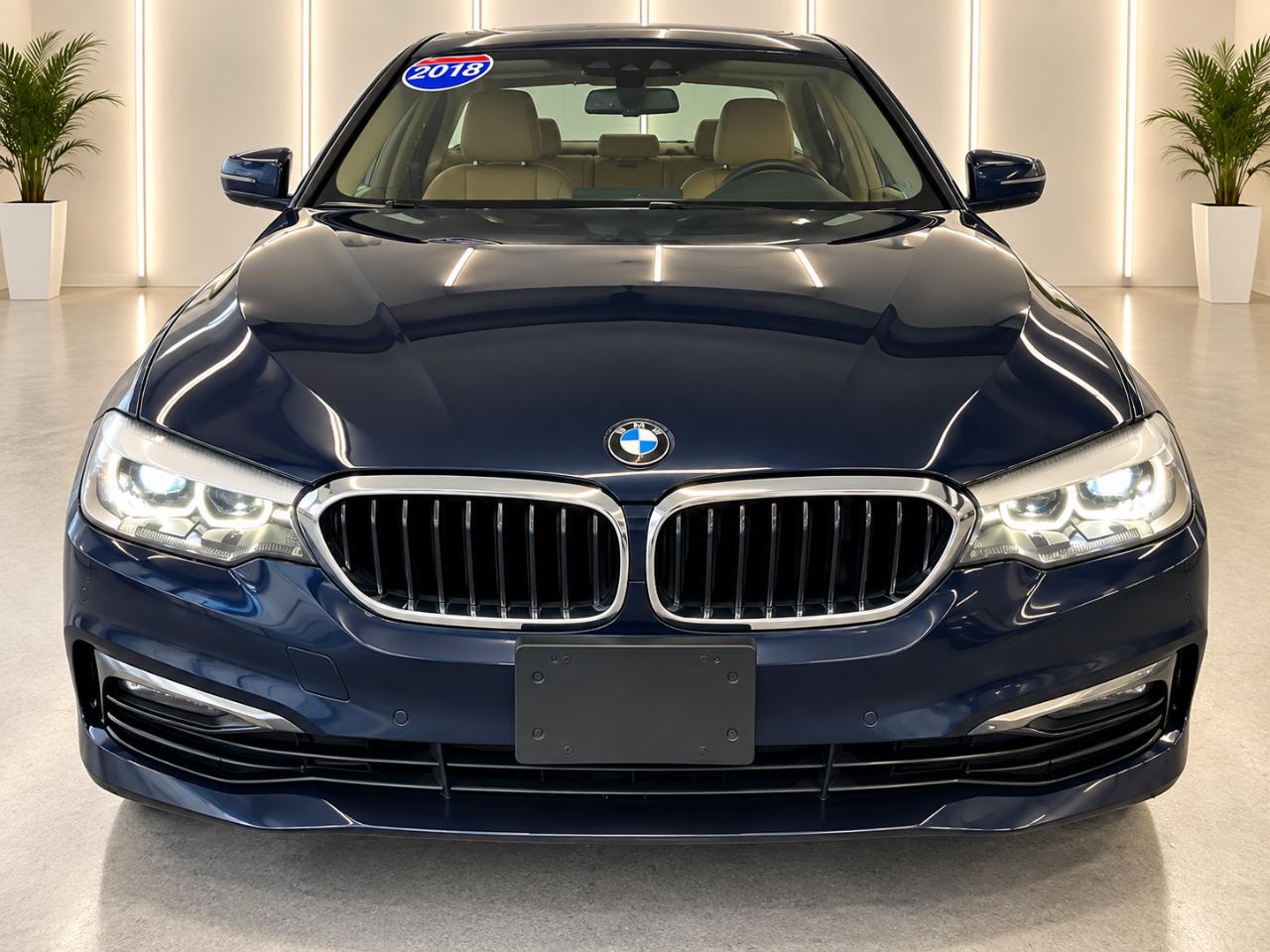 BMW 5-Series 530i xDrive 2018