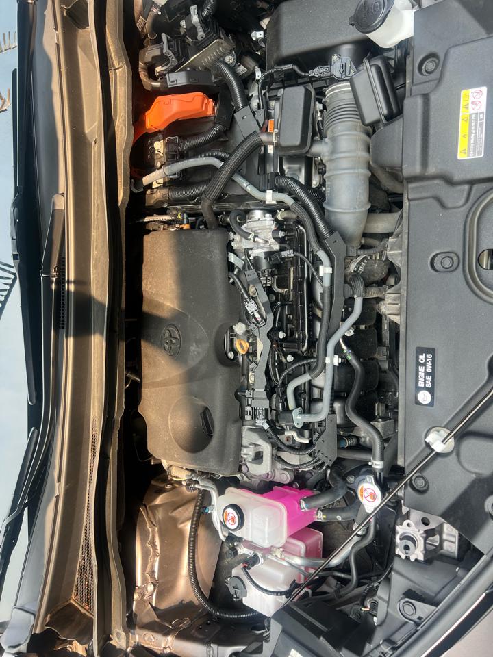 Toyota Sienna XLE 7-Passenger AWD 2022