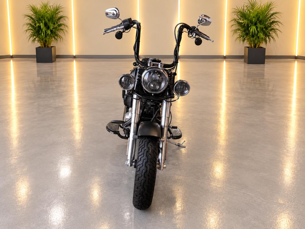 Harley-Davidson FLS103  2017
