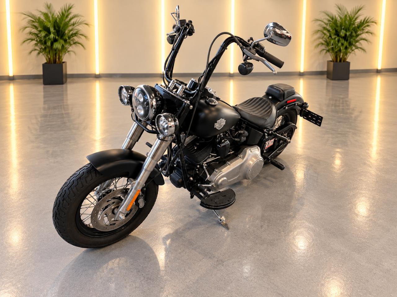 Harley-Davidson FLS103  2017
