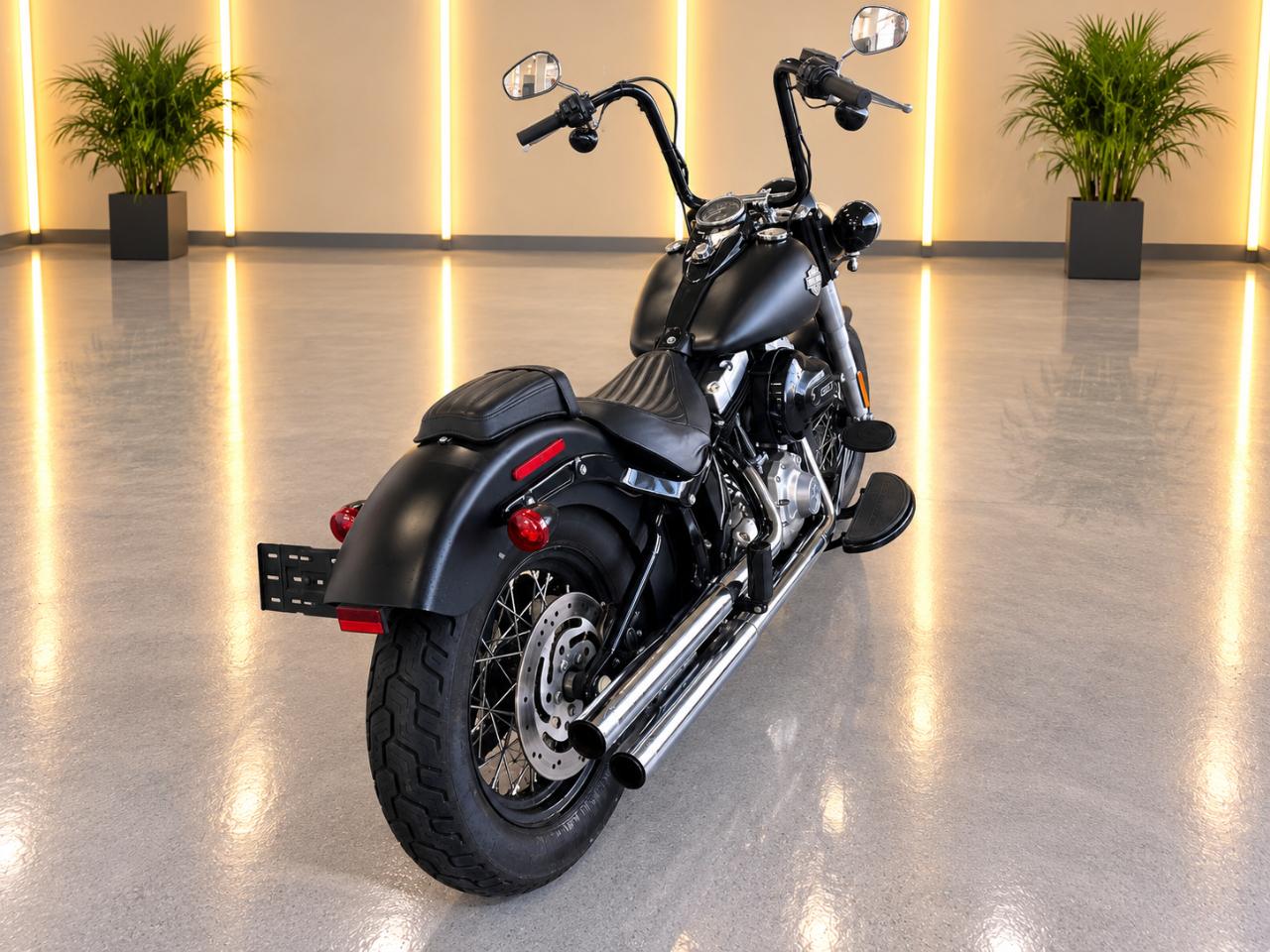 Harley-Davidson FLS103  2017
