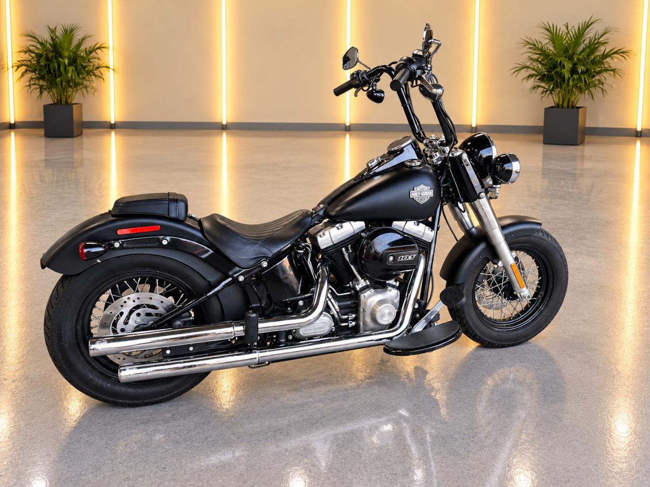 Harley-Davidson FLS103  2017