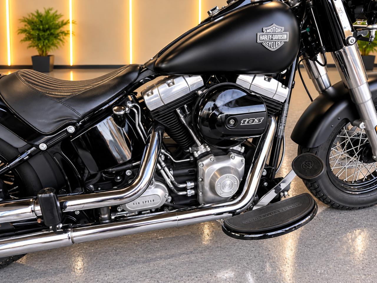 Harley-Davidson FLS103  2017