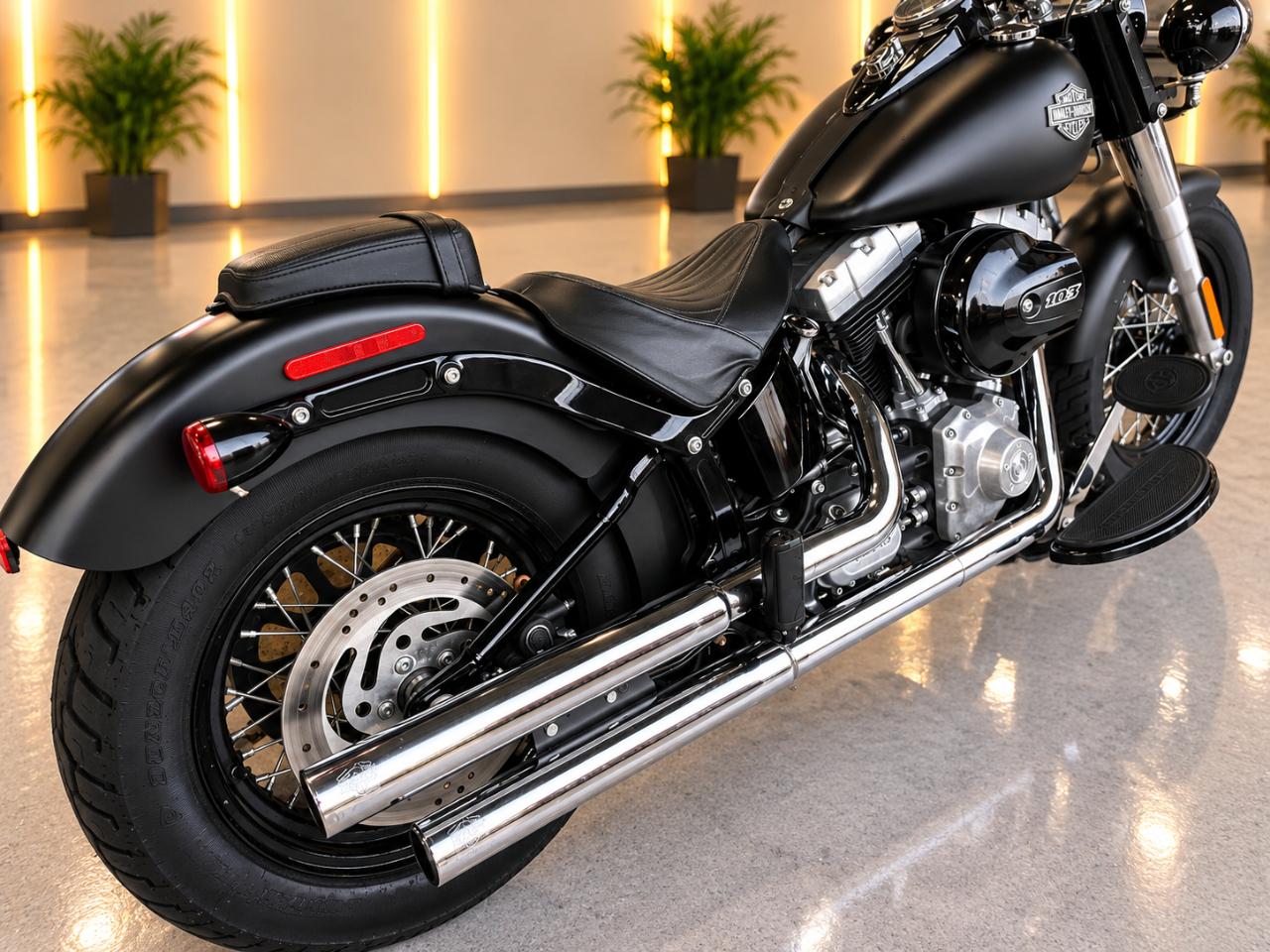 Harley-Davidson FLS103  2017