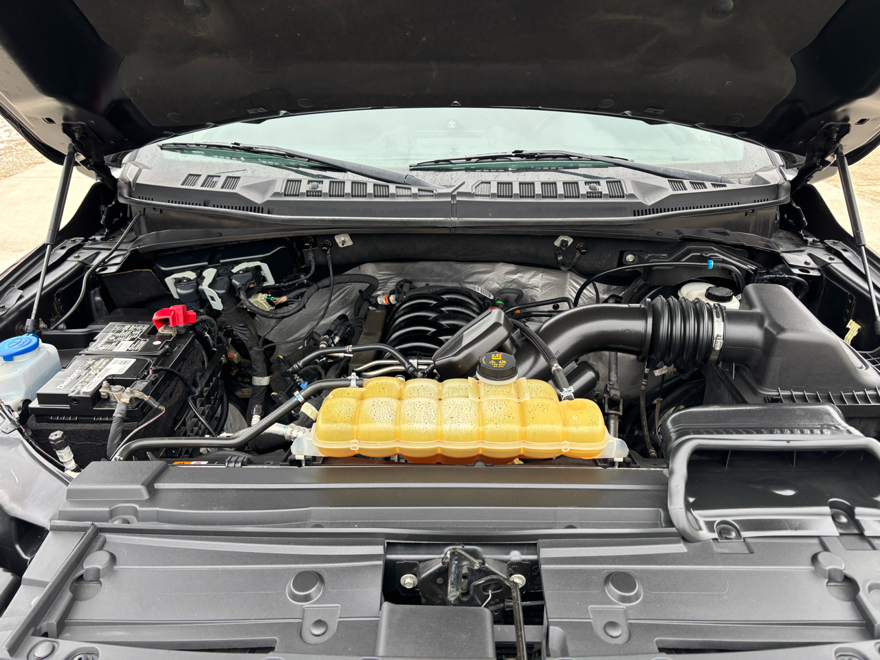 Ford F-150 XLT 4WD SuperCrew 6.5' Box 2019